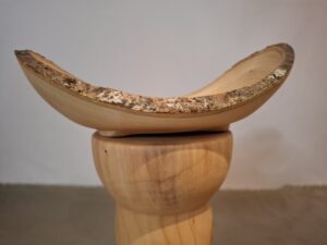 Kaarnareunainen saarnikulho